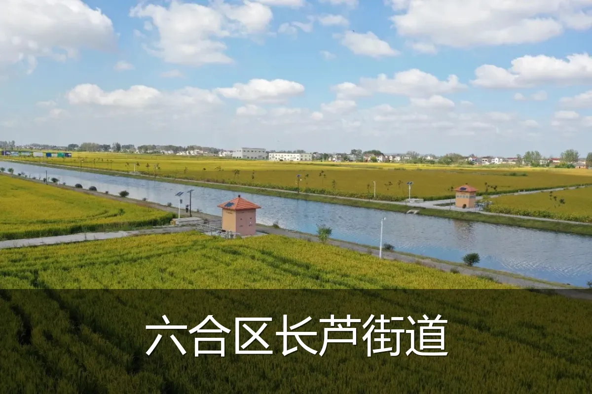六合区长芦街道