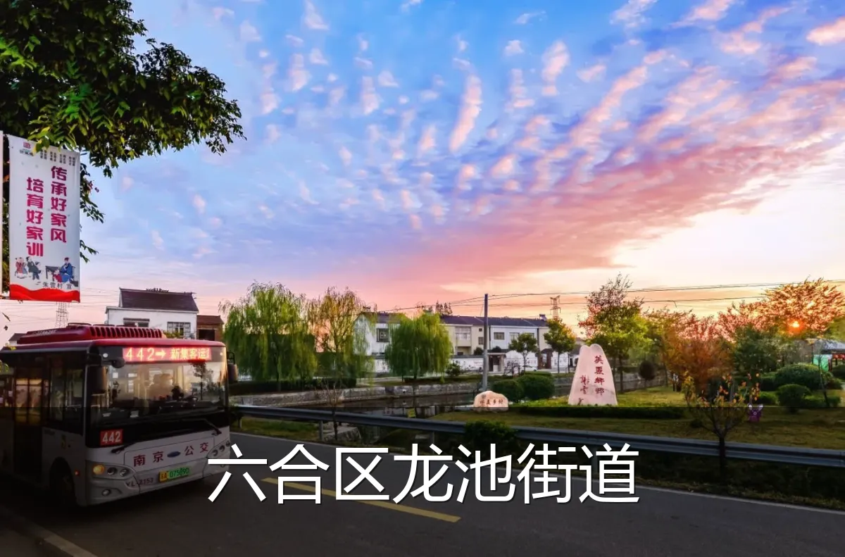 六合区龙池街道